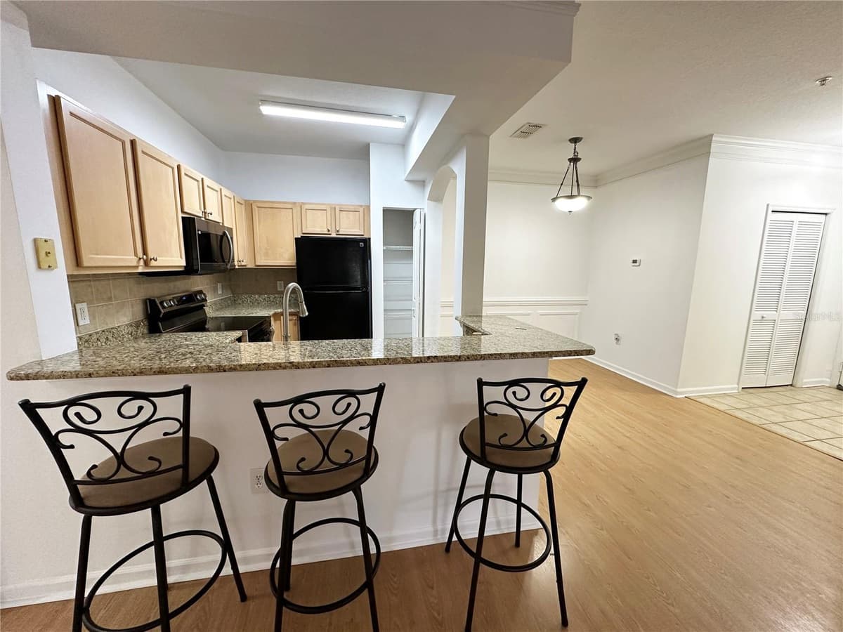 12843 MADISON POINTE CIRCLE — photo 6 of 48