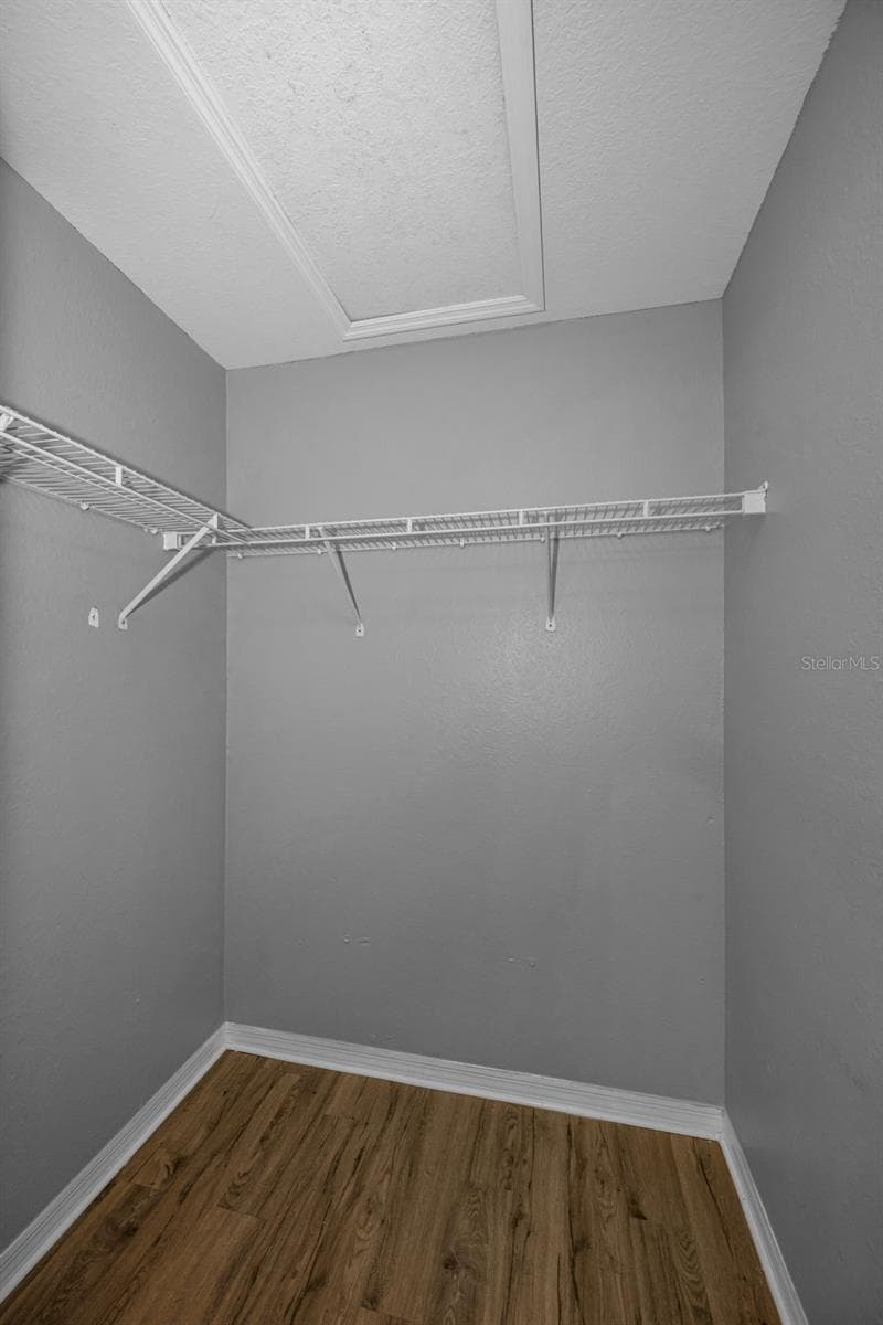 9078 LAKE CHASE ISLAND WAY — photo 35 of 98