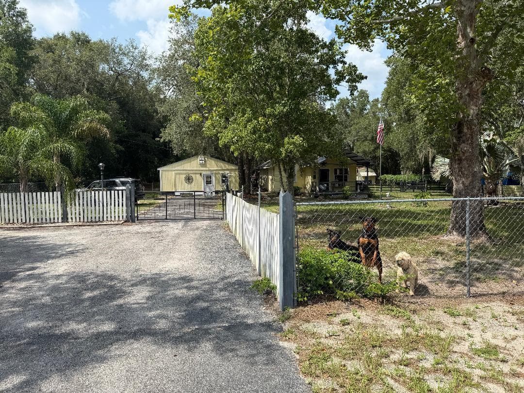 11705 MARY LOU DRIVE — photo 3 of 3