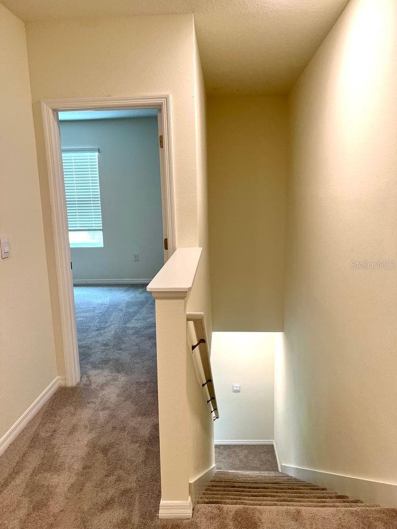 5330 DRAGONFLY DRIVE — photo 11 of 28