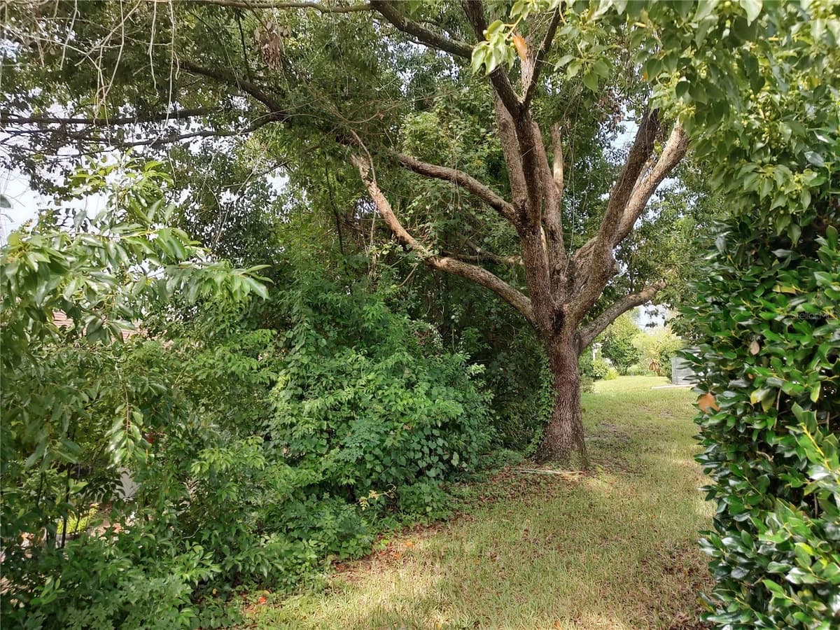 3716 COVE PARK TRAIL — photo 8 of 34