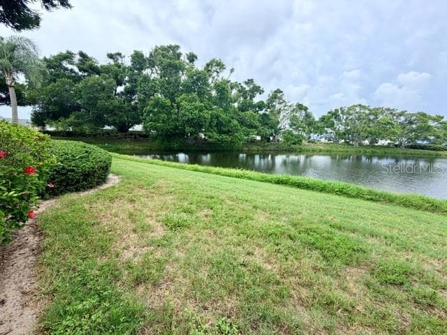 950 WATERSIDE LANE — photo 48 of 69