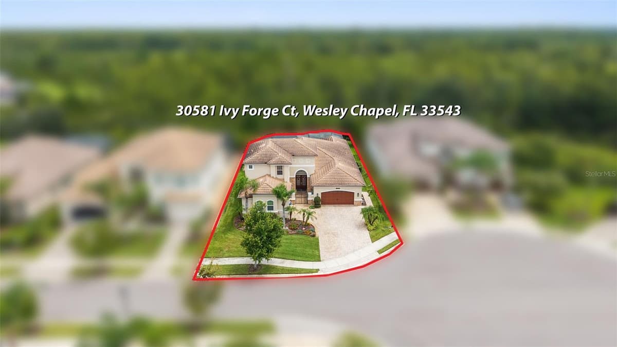 30581 IVY FORGE COURT — photo 60 of 80