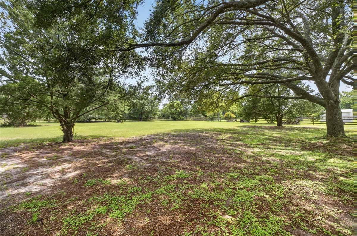 3630 EAGLES NEST ROAD — photo 41 of 54
