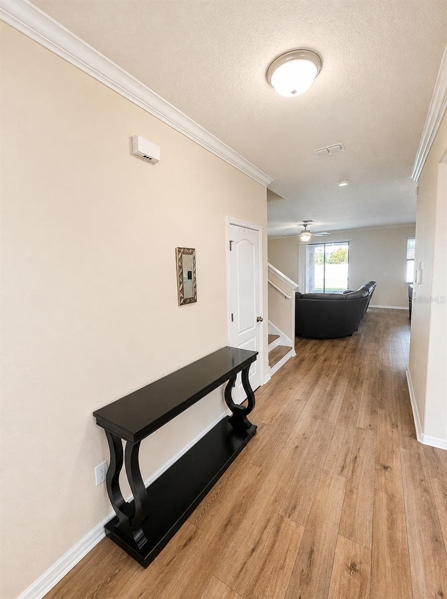 10908 WHITTNEY CHASE DRIVE — photo 8 of 39