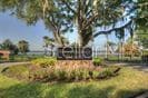 215 PALMETTO CONCOURSE — photo 36 of 56