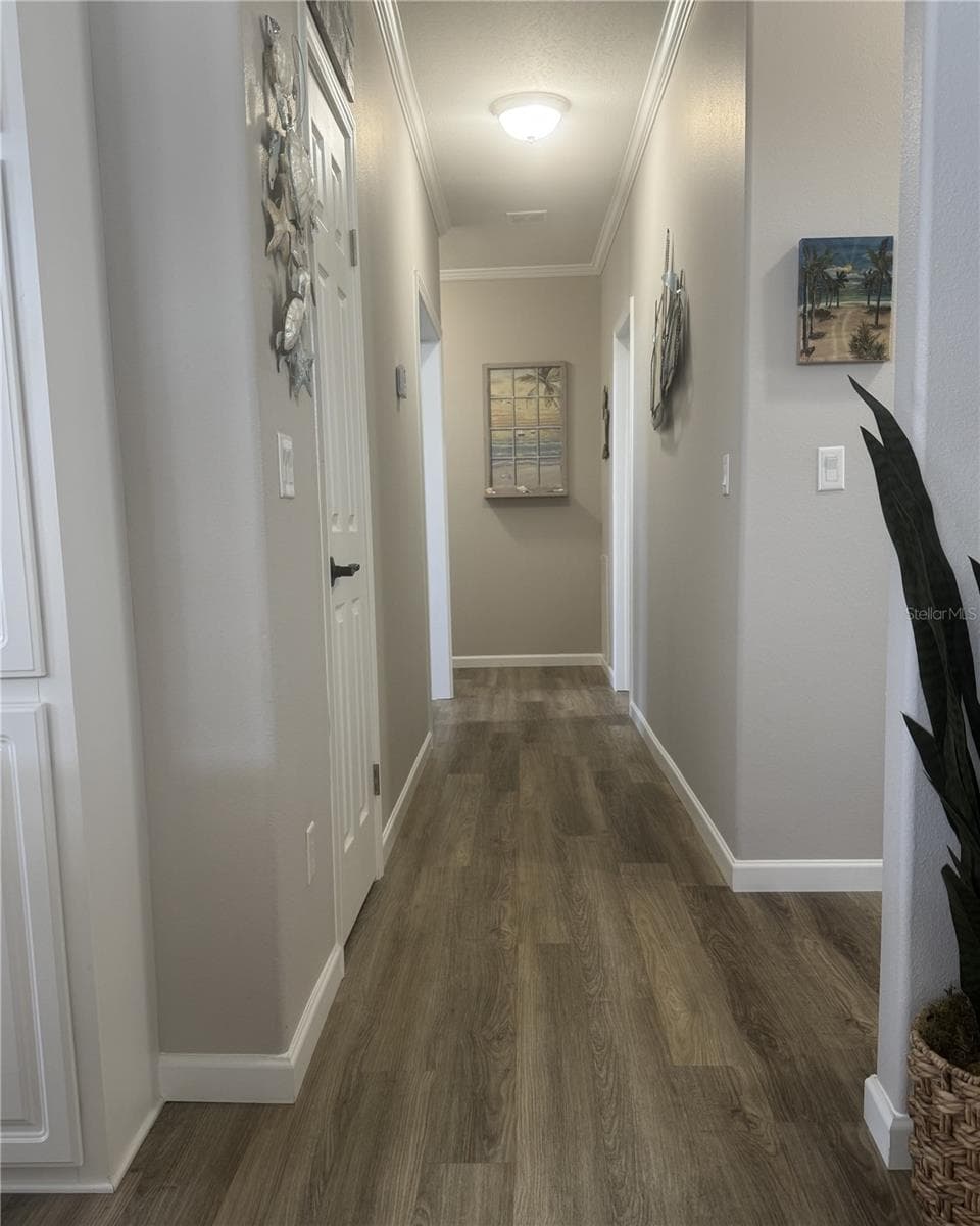 804 TURF — photo 16 of 38
