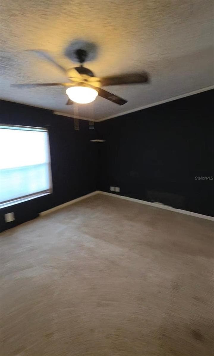 3415 CR 679 — photo 24 of 24