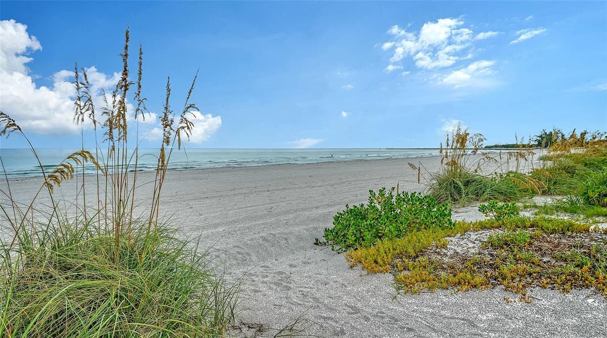 1150 TARPON CENTER DRIVE — photo 37 of 56