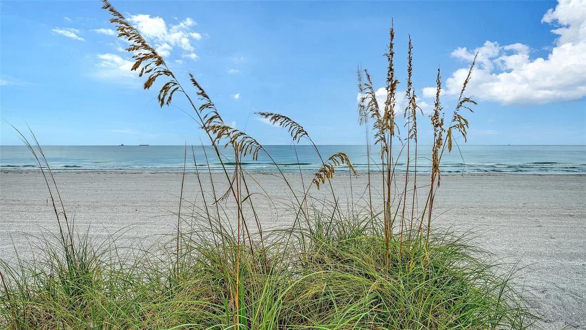 1150 TARPON CENTER DRIVE — photo 36 of 56