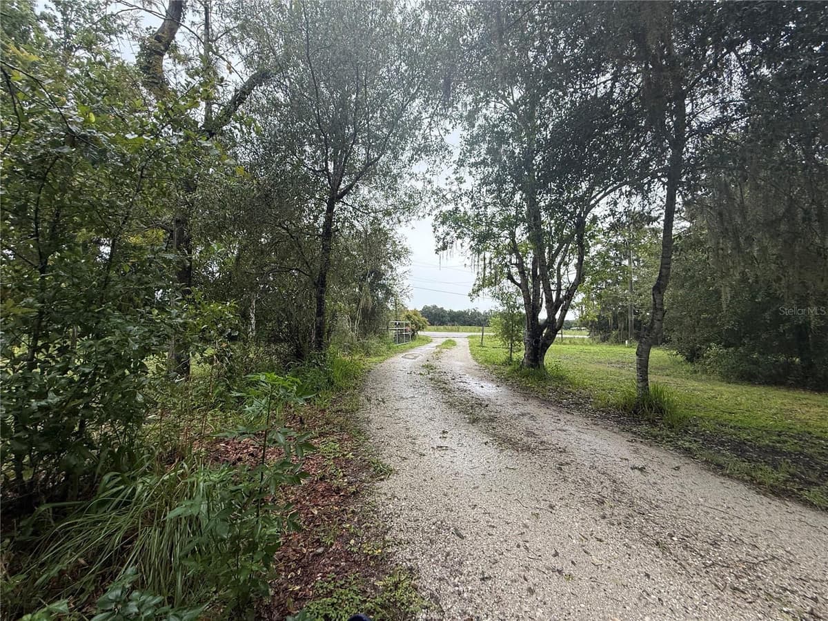 2480 GENES LITTLE ACRES AVENUE — photo 41 of 44