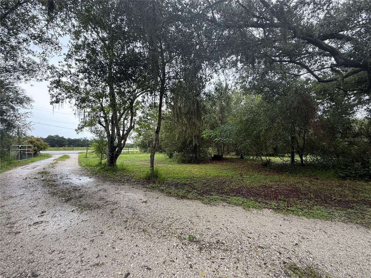 2480 GENES LITTLE ACRES AVENUE — photo 42 of 44
