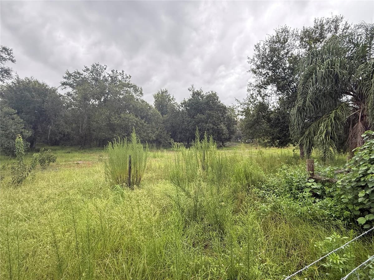 2480 GENES LITTLE ACRES AVENUE — photo 36 of 44
