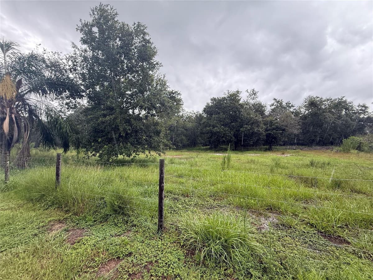 2480 GENES LITTLE ACRES AVENUE — photo 37 of 44