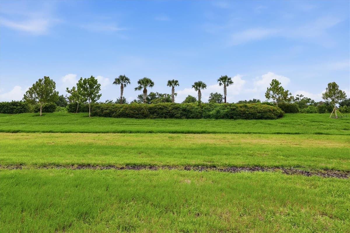 24173 SPARTINA DRIVE — photo 33 of 46