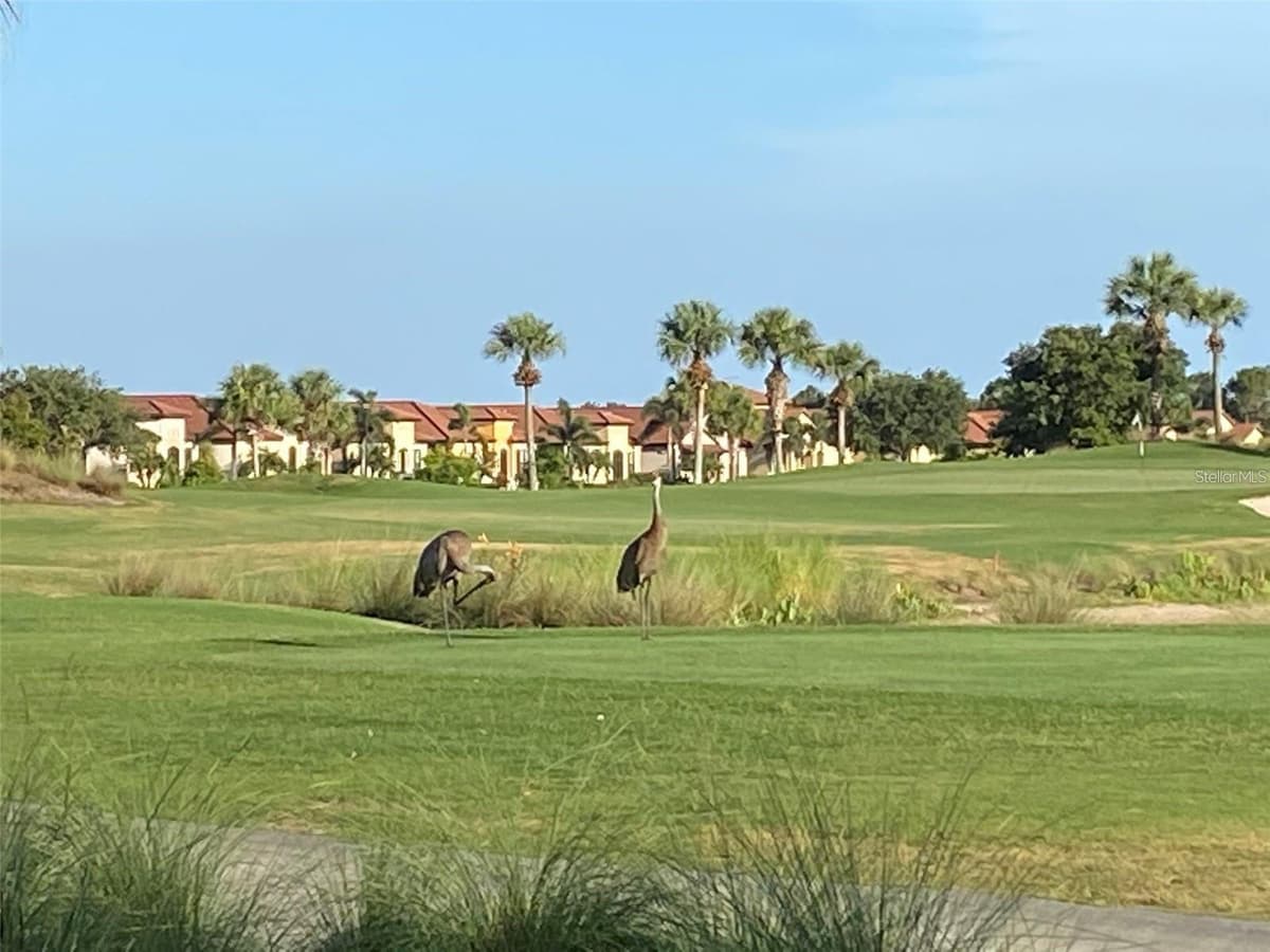 24173 SPARTINA DRIVE — photo 43 of 46