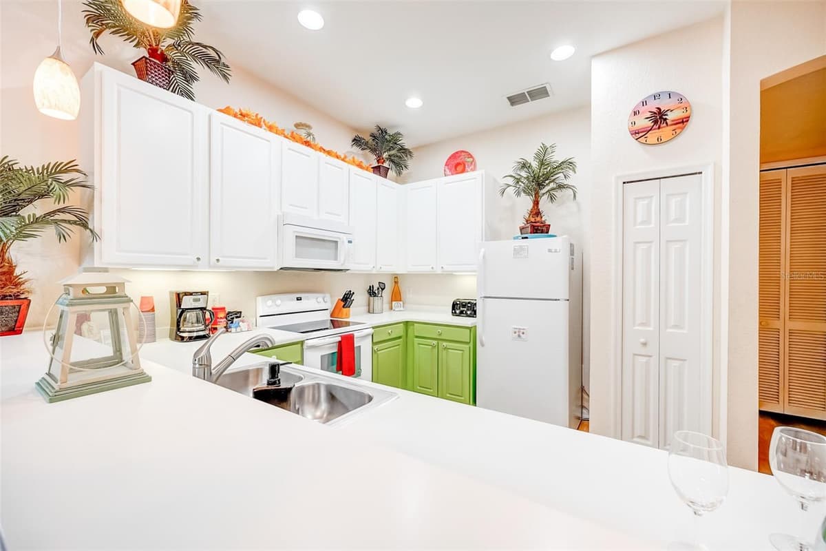 205 LUCAYA LOOP — photo 9 of 24
