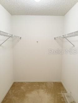 2825 TAMARIND DRIVE — photo 19 of 28