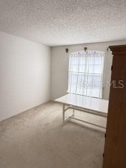 2825 TAMARIND DRIVE — photo 21 of 28