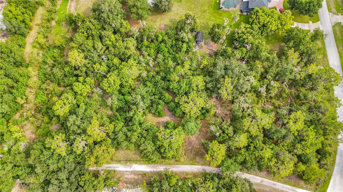 10623 LITHIA ESTATES DRIVE — photo 50 of 51
