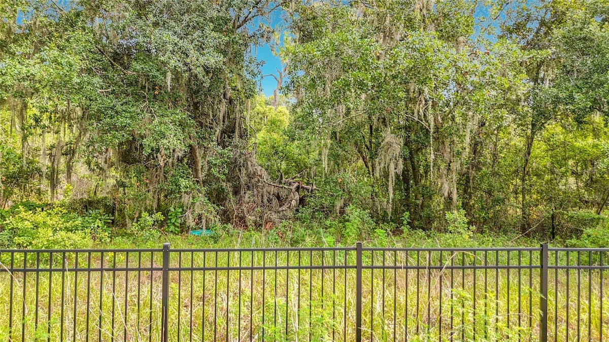 10623 LITHIA ESTATES DRIVE — photo 48 of 51