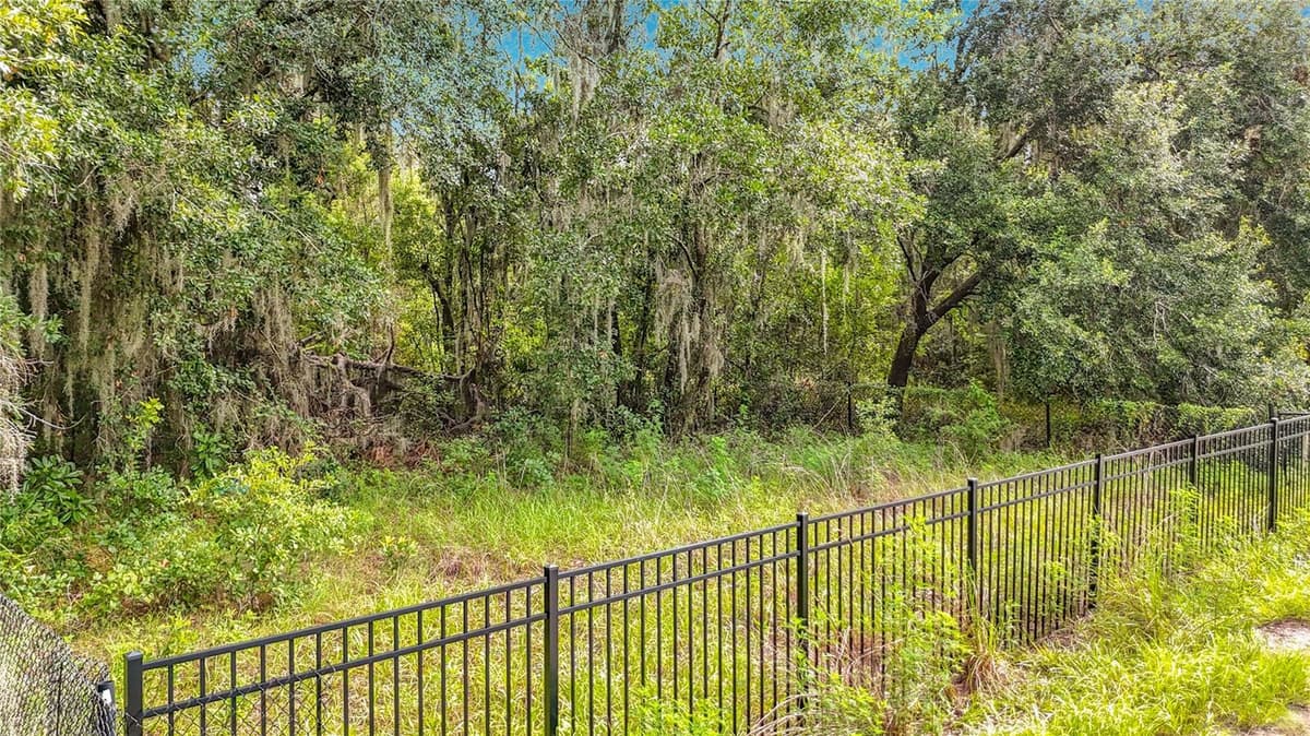 10623 LITHIA ESTATES DRIVE — photo 49 of 51