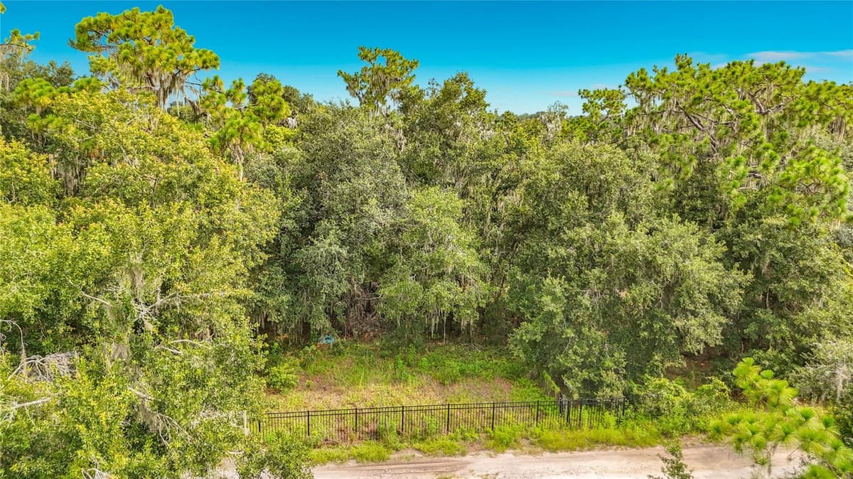 10623 LITHIA ESTATES DRIVE — photo 46 of 51