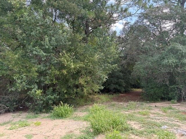 17833 61ST LANE ROAD — photo 9 of 19