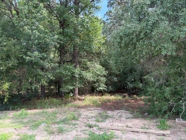 17833 61ST LANE ROAD — photo 10 of 19