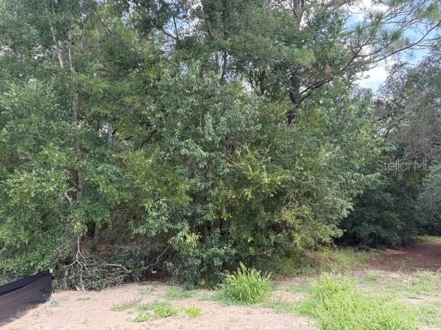 17833 61ST LANE ROAD — photo 8 of 19