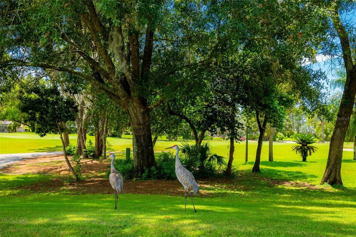 9250 MISSISSIPPI RUN — photo 74 of 88