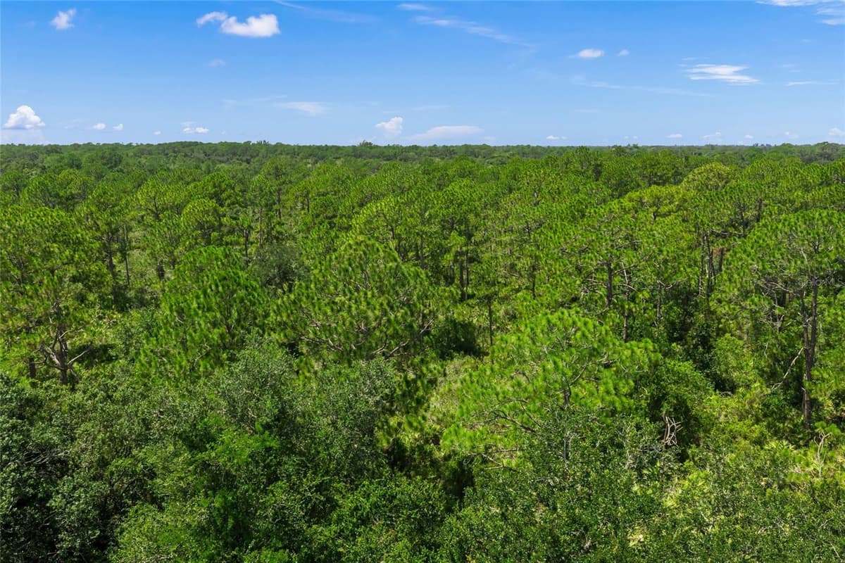 8488 EAGLE PRESERVE WAY — photo 46 of 70