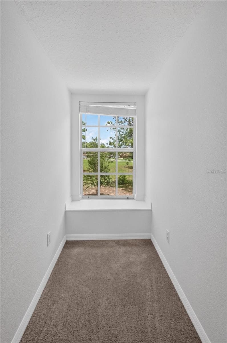 34244 RIDGE MANOR BOULEVARD — photo 59 of 81