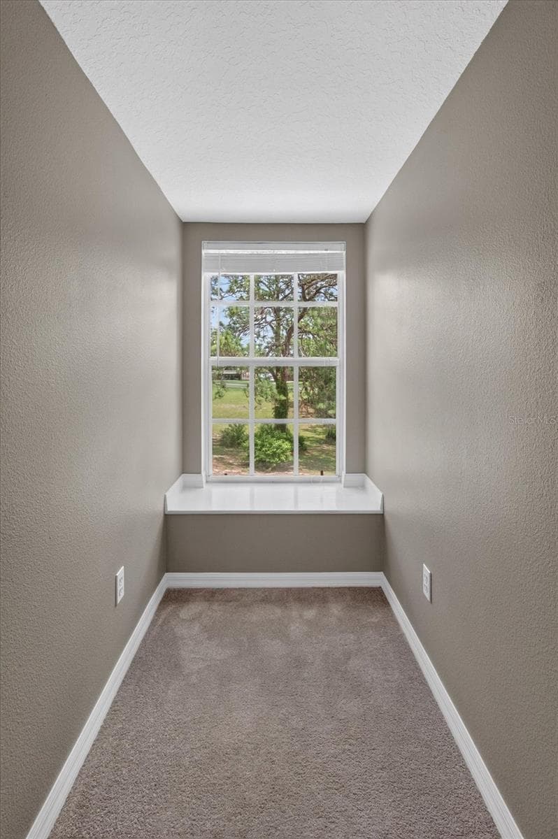 34244 RIDGE MANOR BOULEVARD — photo 65 of 81