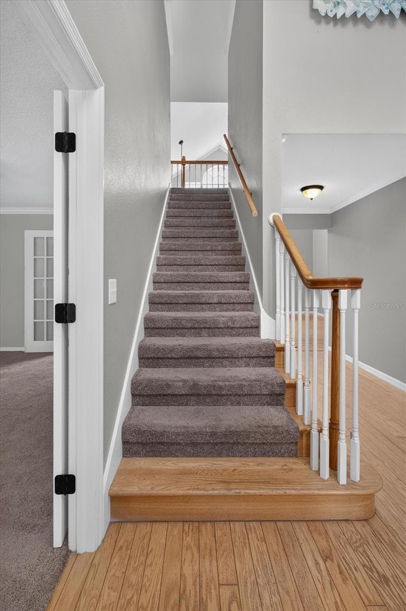 34244 RIDGE MANOR BOULEVARD — photo 53 of 81