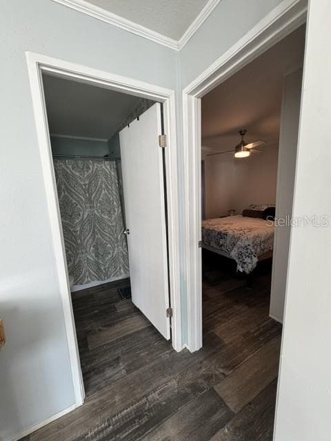 8314 EVERGREEN AVENUE — photo 6 of 14