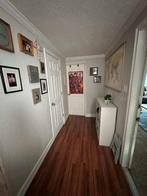 8304 EVERGREEN AVENUE — photo 6 of 16