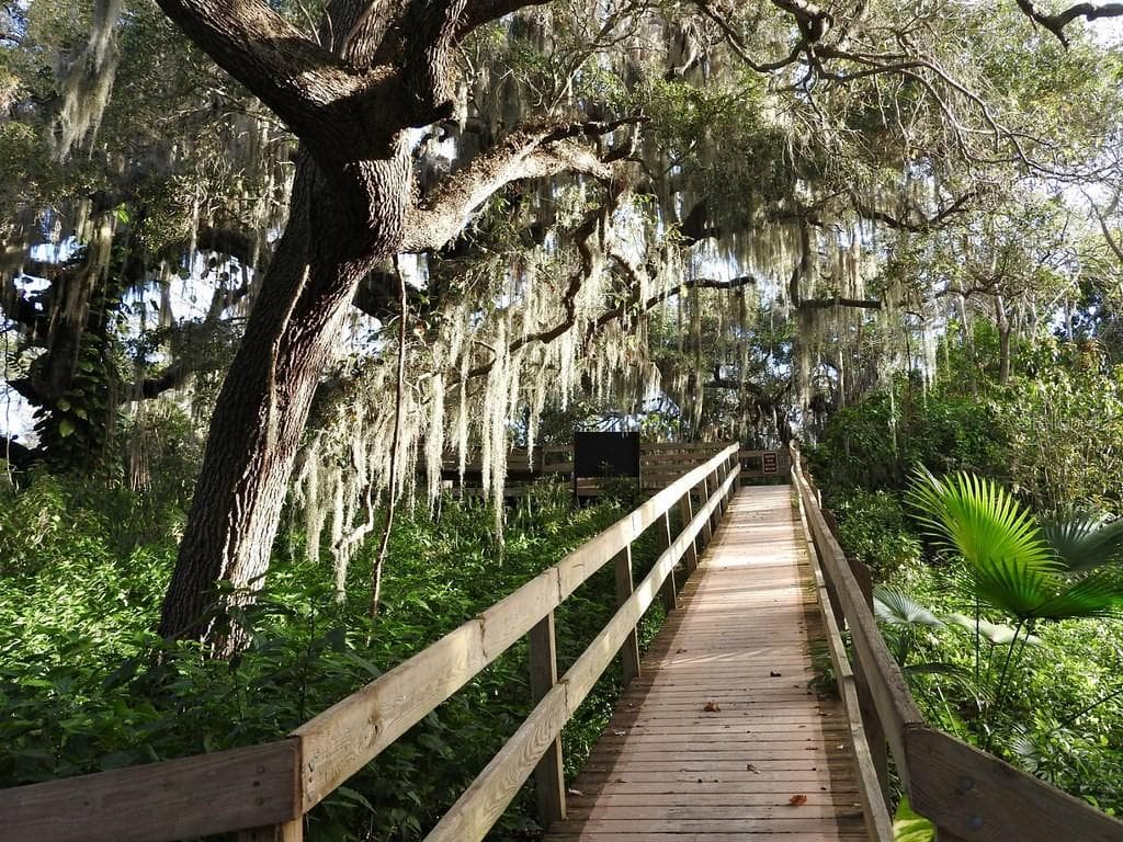 3009 LIVE OAK LANE — photo 45 of 46