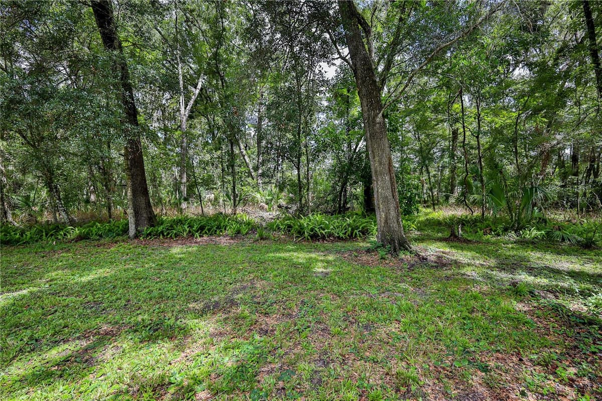 18255 LAKE LINDSEY ROAD — photo 37 of 38