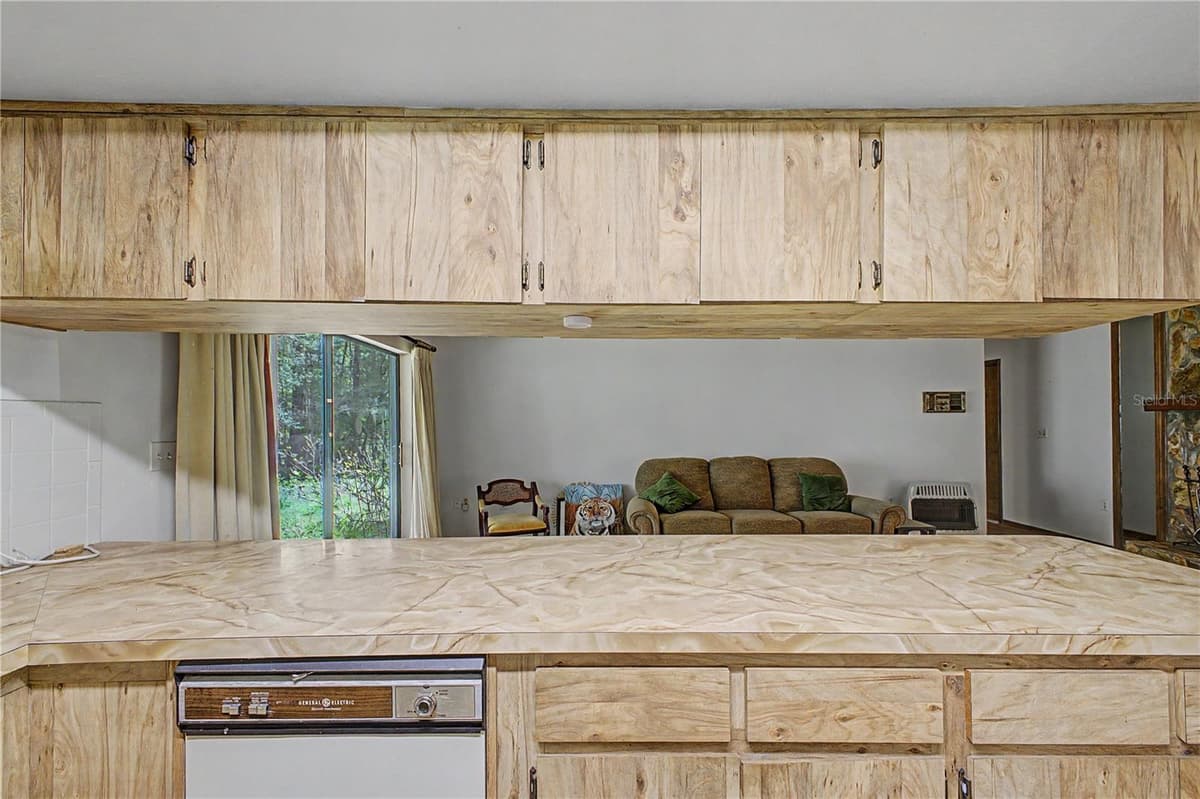 18255 LAKE LINDSEY ROAD — photo 17 of 38