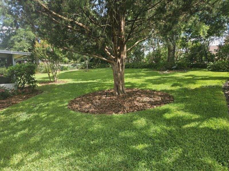 120 LARKWOOD DRIVE — photo 9 of 34