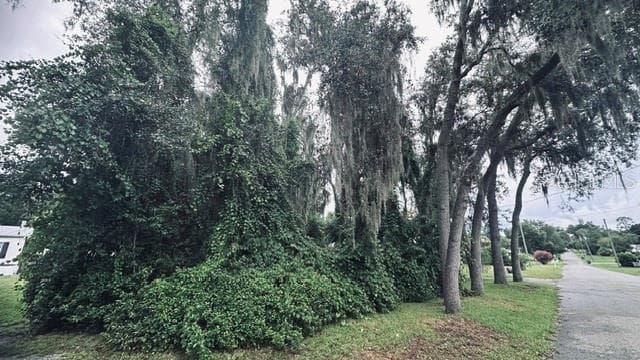 446 QUAIL STREET — photo 15 of 18