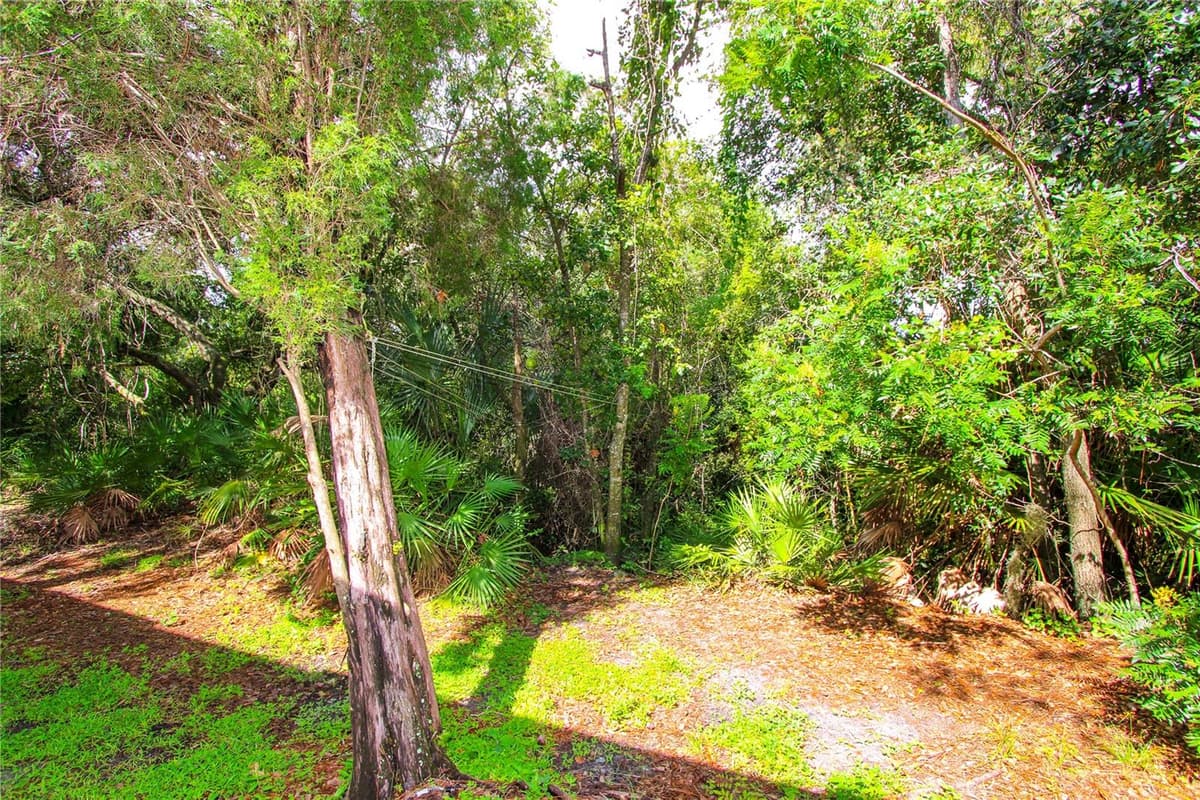 2722 CONCH HOLLOW DRIVE — photo 25 of 25
