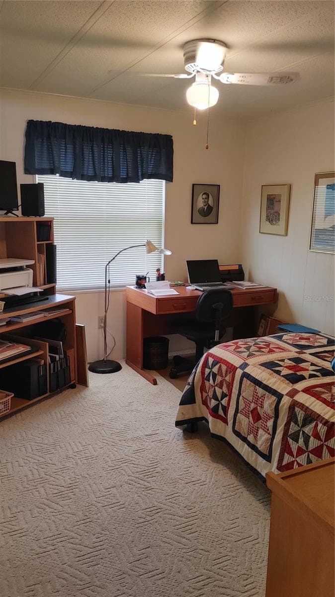 104 CALADIUM STREET — photo 16 of 26