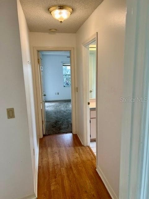 13558 SUMMERWOOD COURT — photo 39 of 42