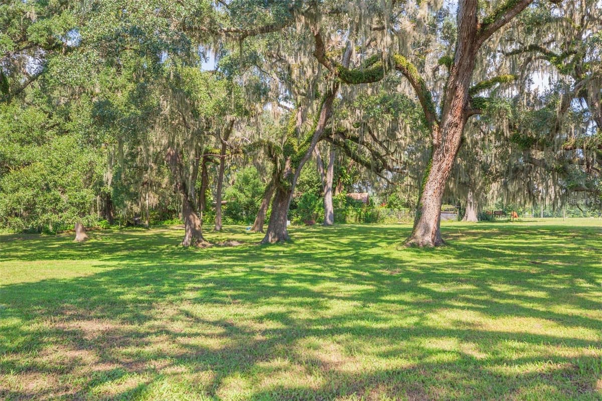 16225 BELLAMY BROTHERS BOULEVARD — photo 41 of 77