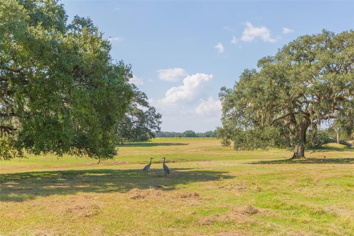 16225 BELLAMY BROTHERS BOULEVARD — photo 44 of 77