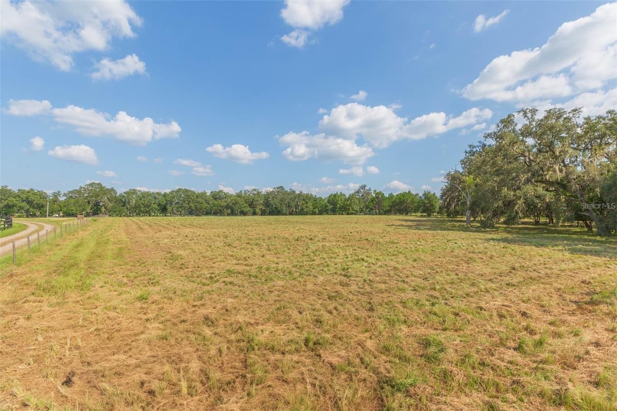16225 BELLAMY BROTHERS BOULEVARD — photo 66 of 77