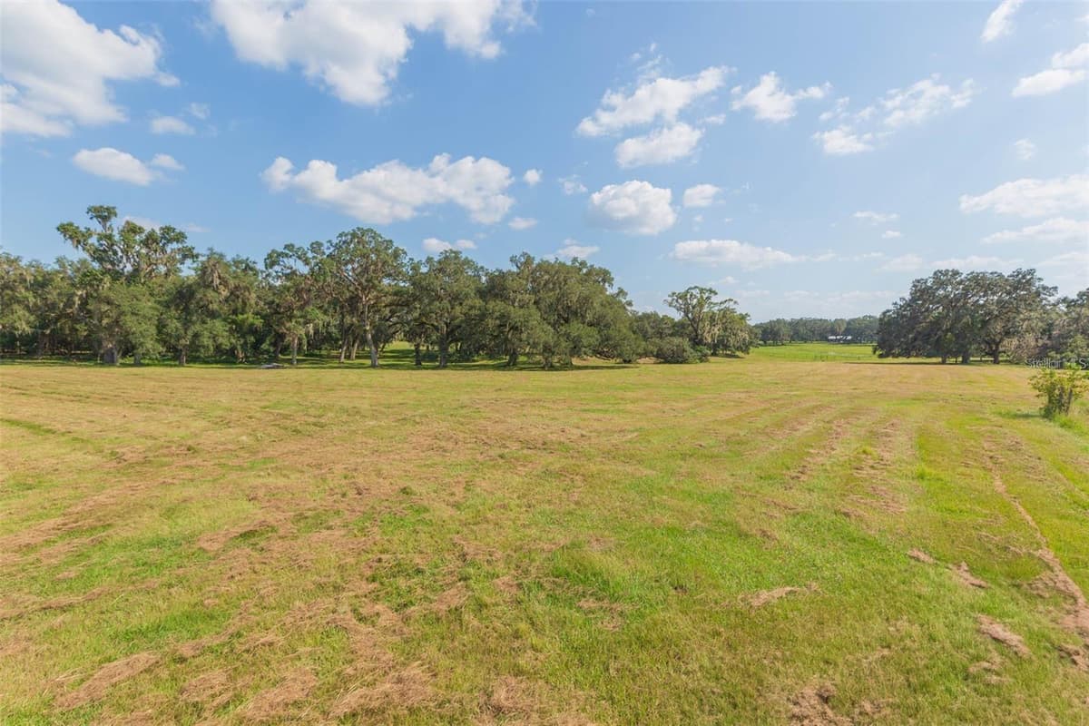 16225 BELLAMY BROTHERS BOULEVARD — photo 59 of 77
