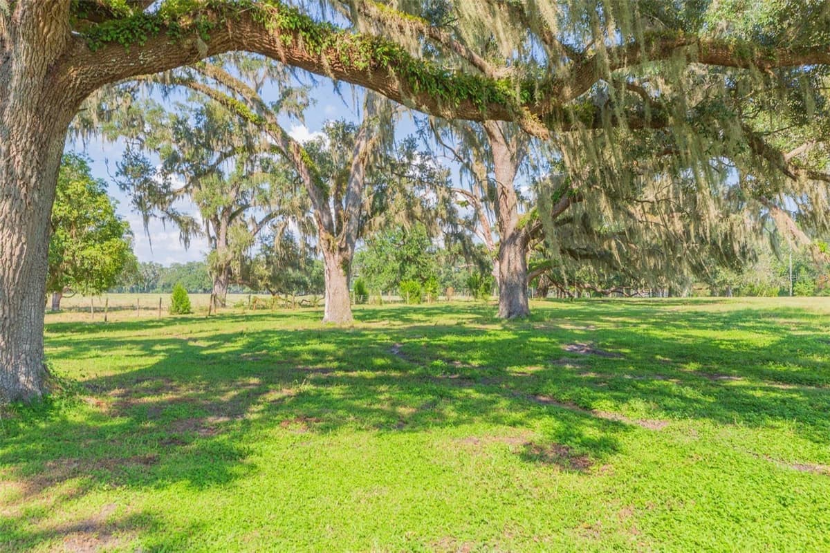 16225 BELLAMY BROTHERS BOULEVARD — photo 39 of 77